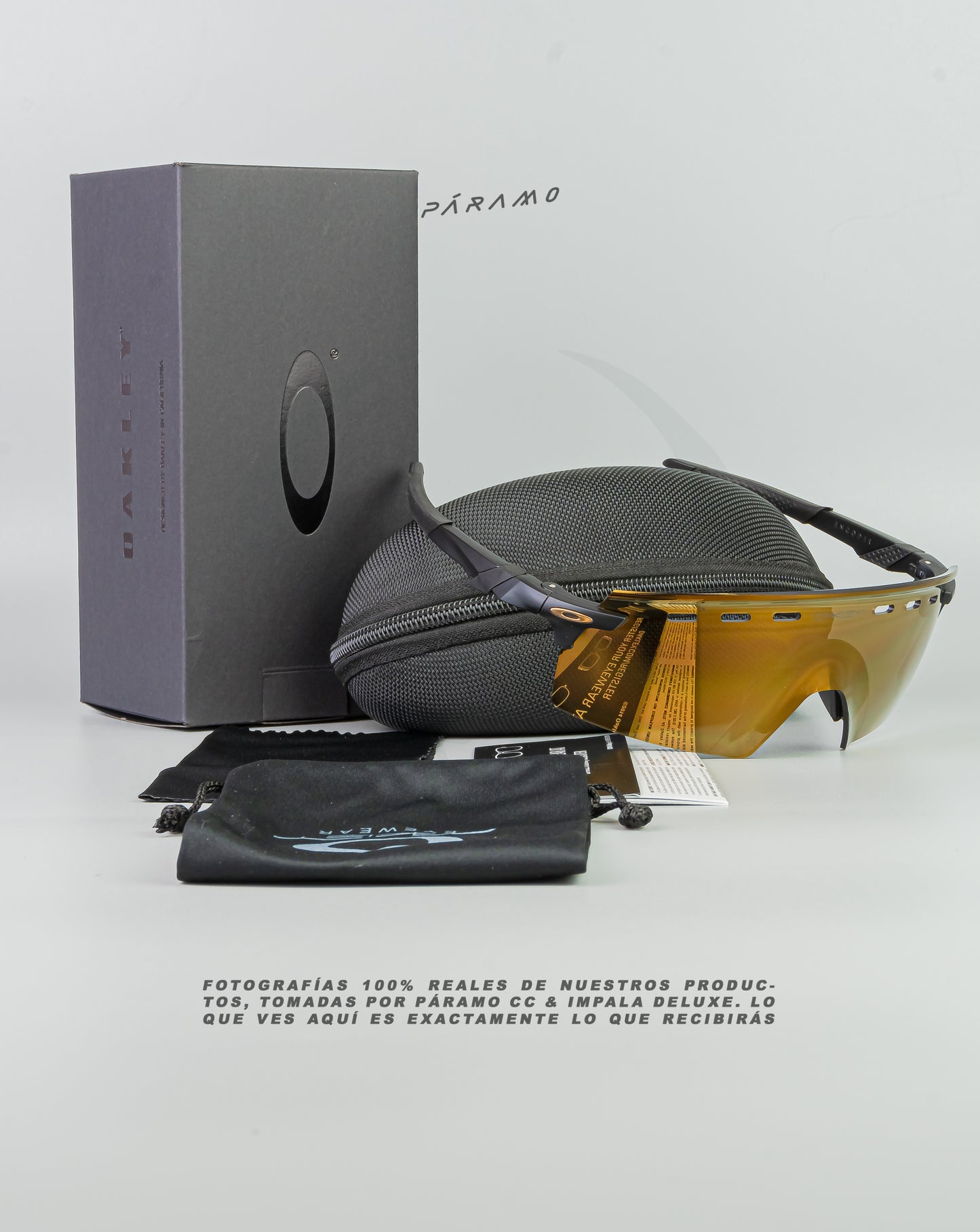 Gafas Encoder Strike Negro dorado Uv400