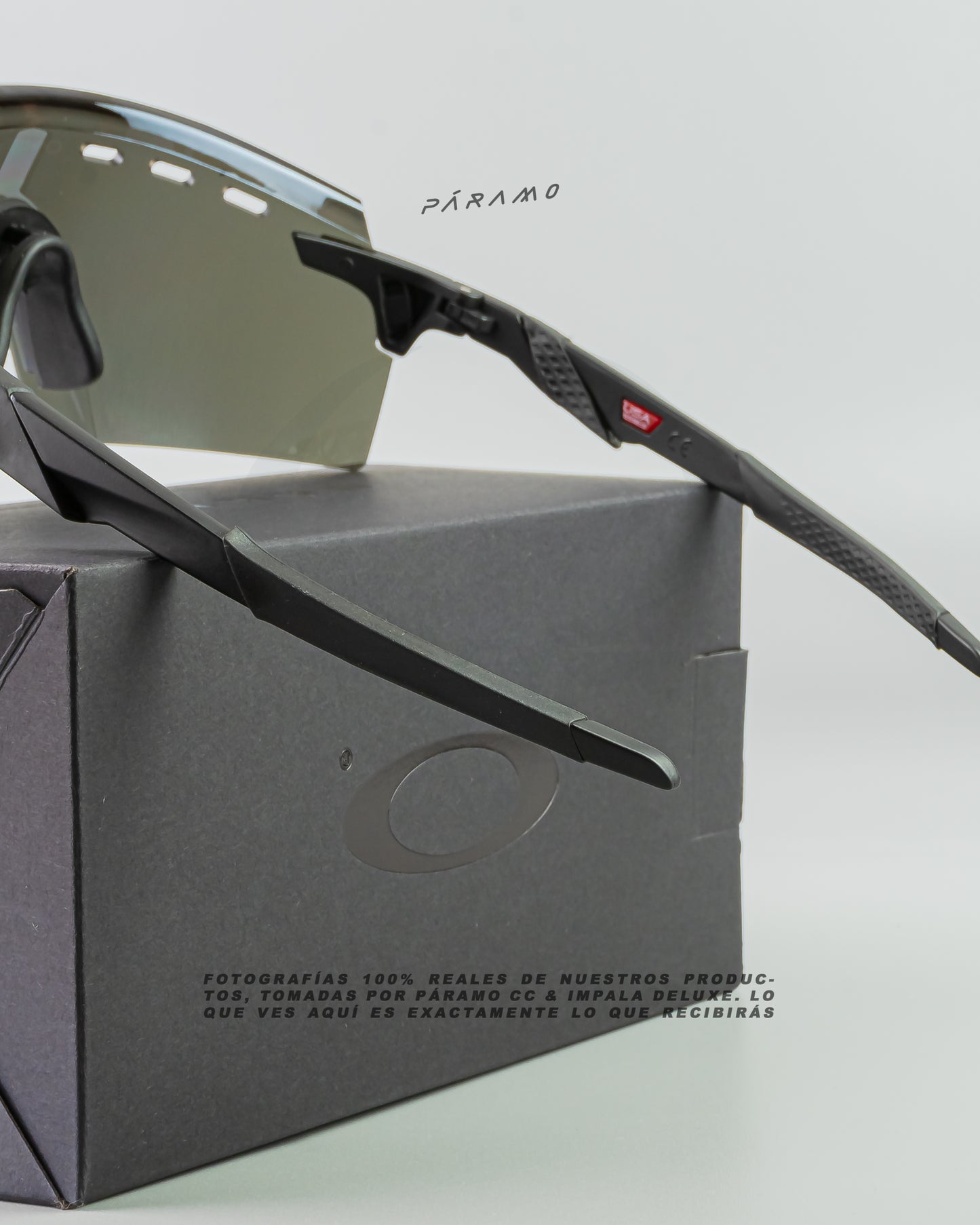 Gafas Encoder Strike Negro dorado Uv400