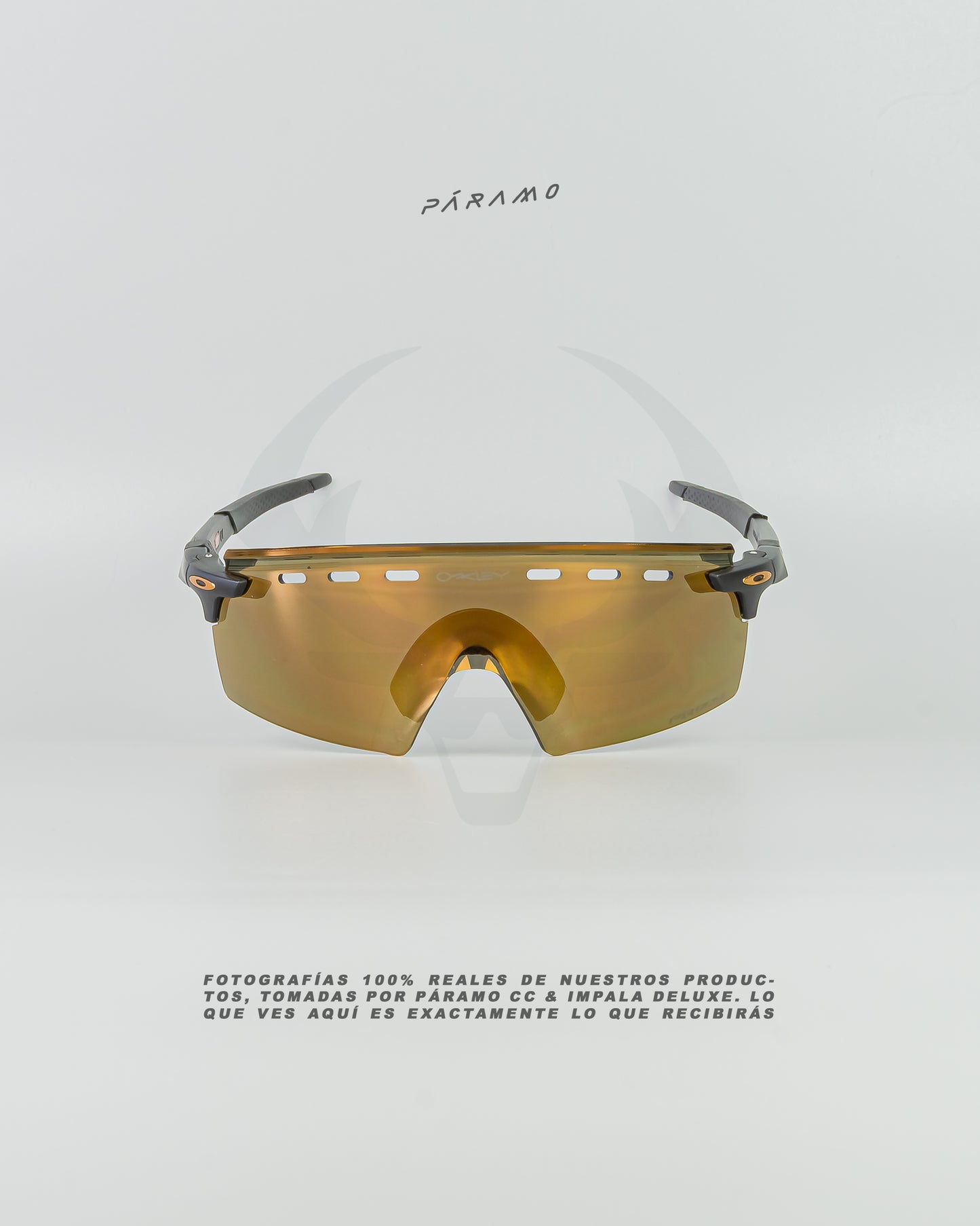 Gafas Encoder Strike Negro dorado Uv400