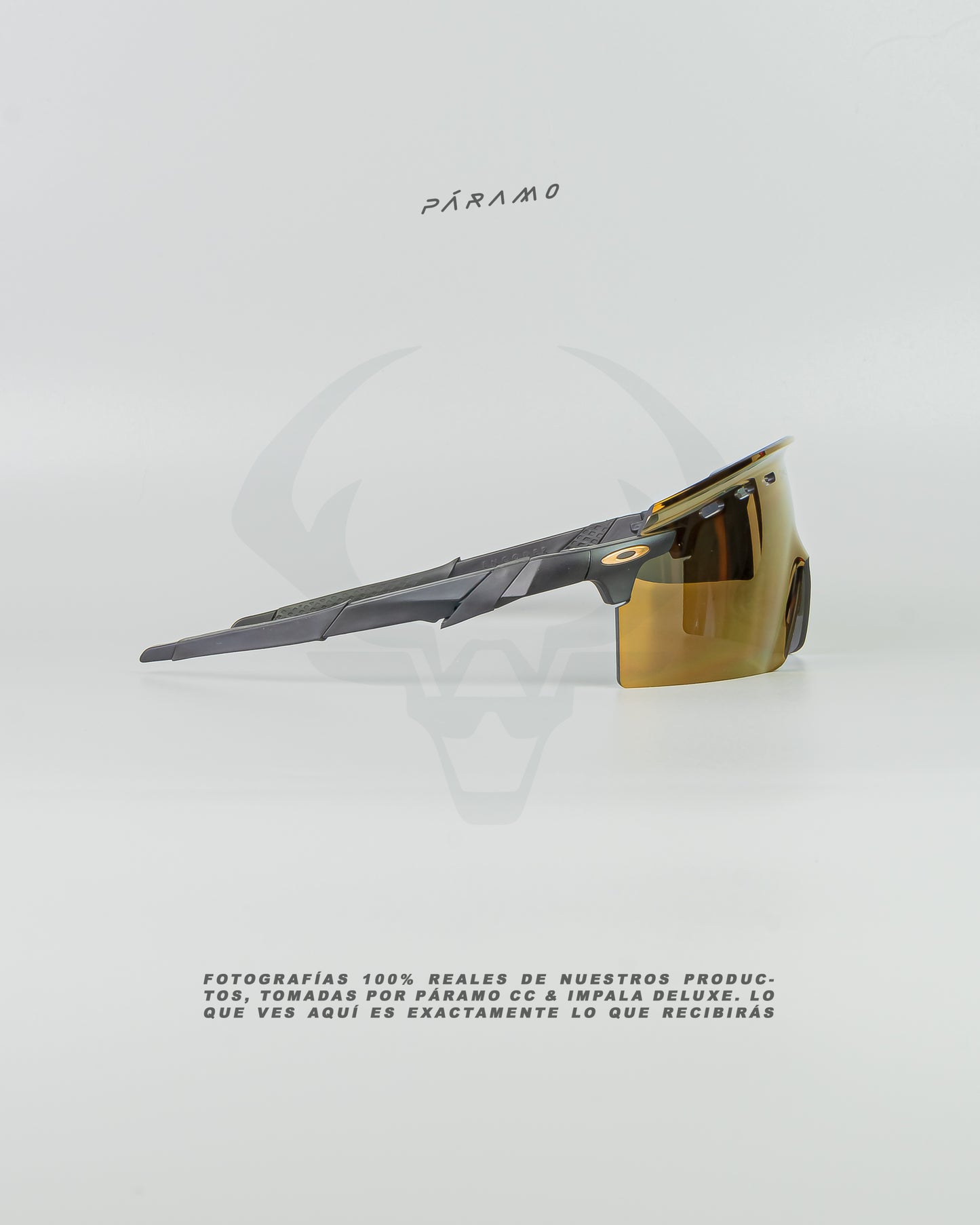 Gafas Encoder Strike Negro dorado Uv400