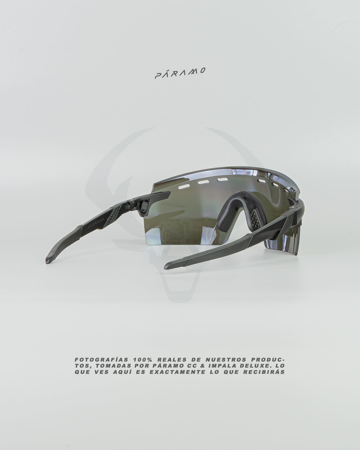 Gafas Encoder Strike Negro dorado Uv400