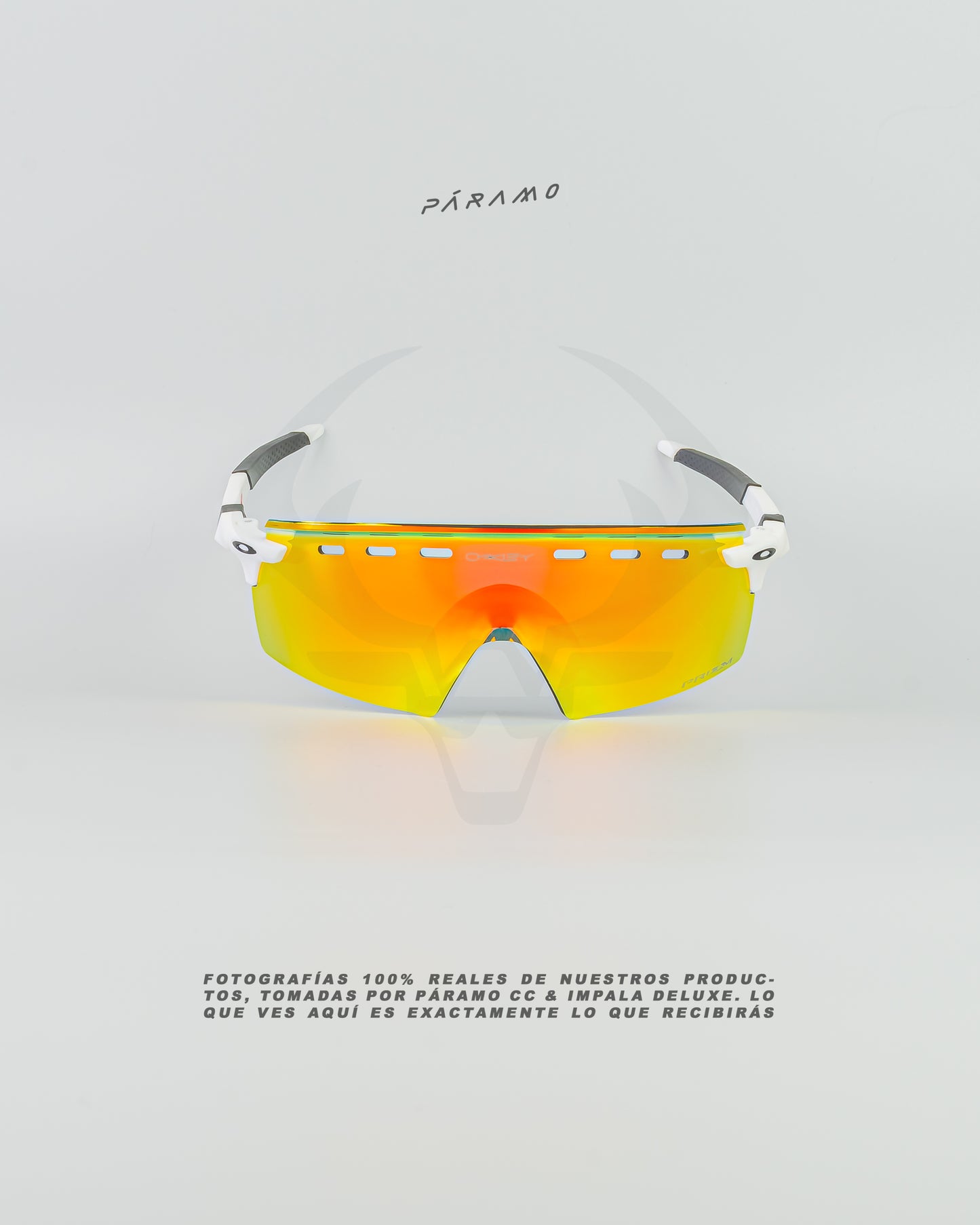 Gafas Encoder Strike blanco dorado Uv400