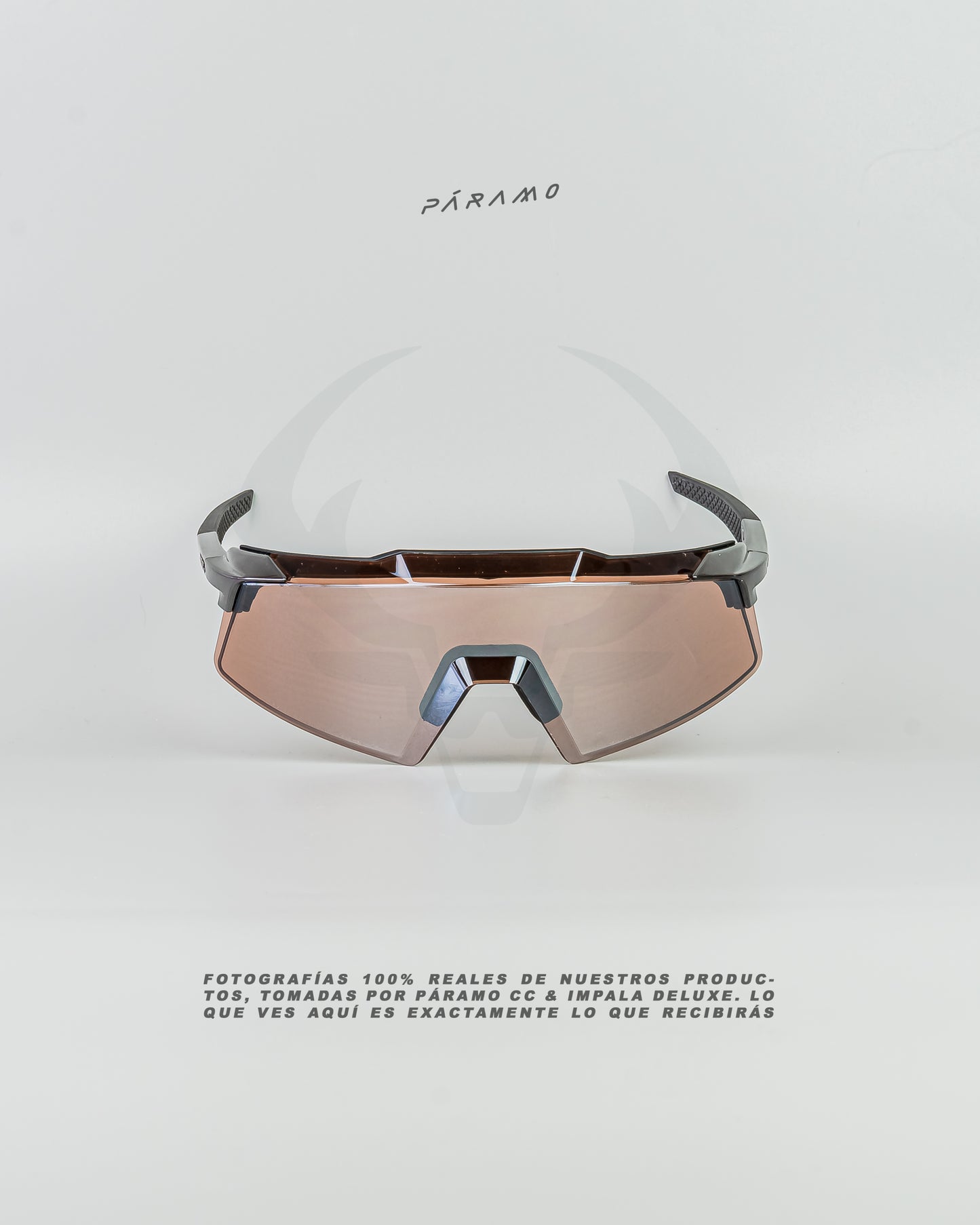 Gafas AEROCRAFT plata marron uv400