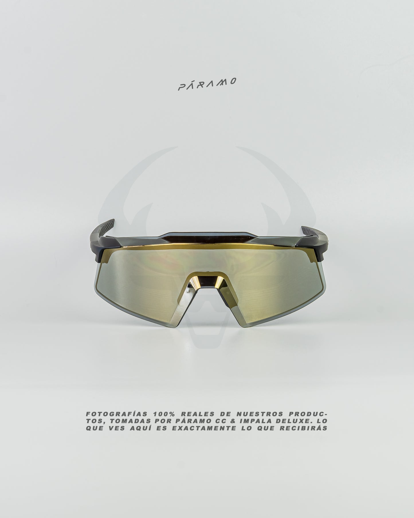 Gafas AEROCRAFT negro dorado uv400