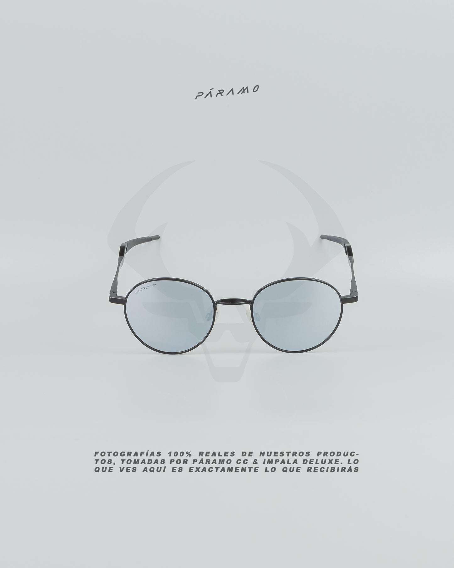 Gafas 0AKL3Y TERRIGAL NEGRO PLATA