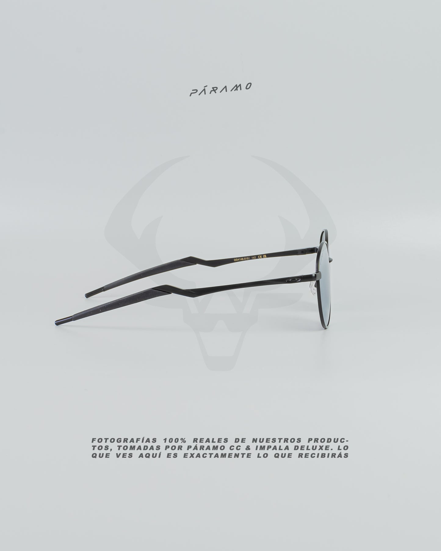 Gafas 0AKL3Y TERRIGAL NEGRO PLATA