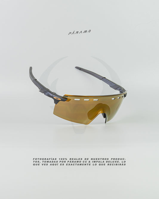 Gafas Encoder  Strike Negro dorado Uv400