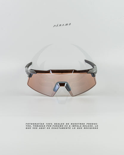 Gafas AEROCRAFT plata marron uv400