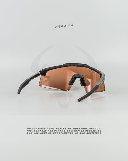 Gafas AEROCRAFT plata marron uv400